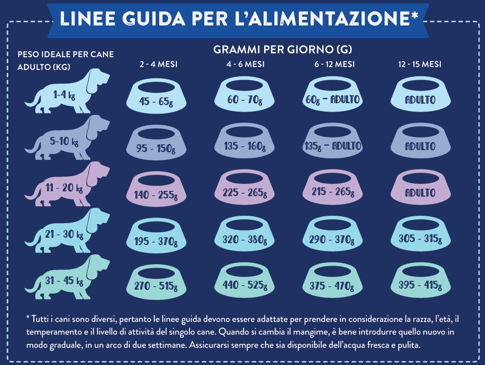 Immagine 2026-05-24 154139.png